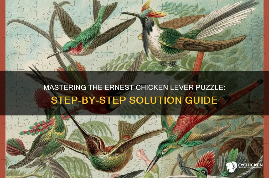how do you solve ernest chicken lever puzzle
