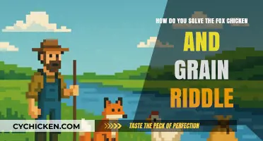 Solving the Fox, Chicken, and Grain Riddle