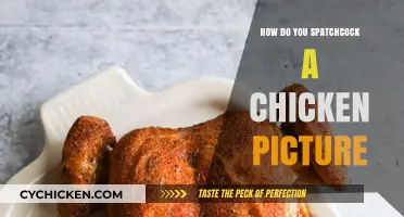 Master Spatchcocking: A Step-by-Step Guide with Chicken Picture