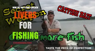 Effective Ways to Store Chicken Livers for Successful Fishing Trips