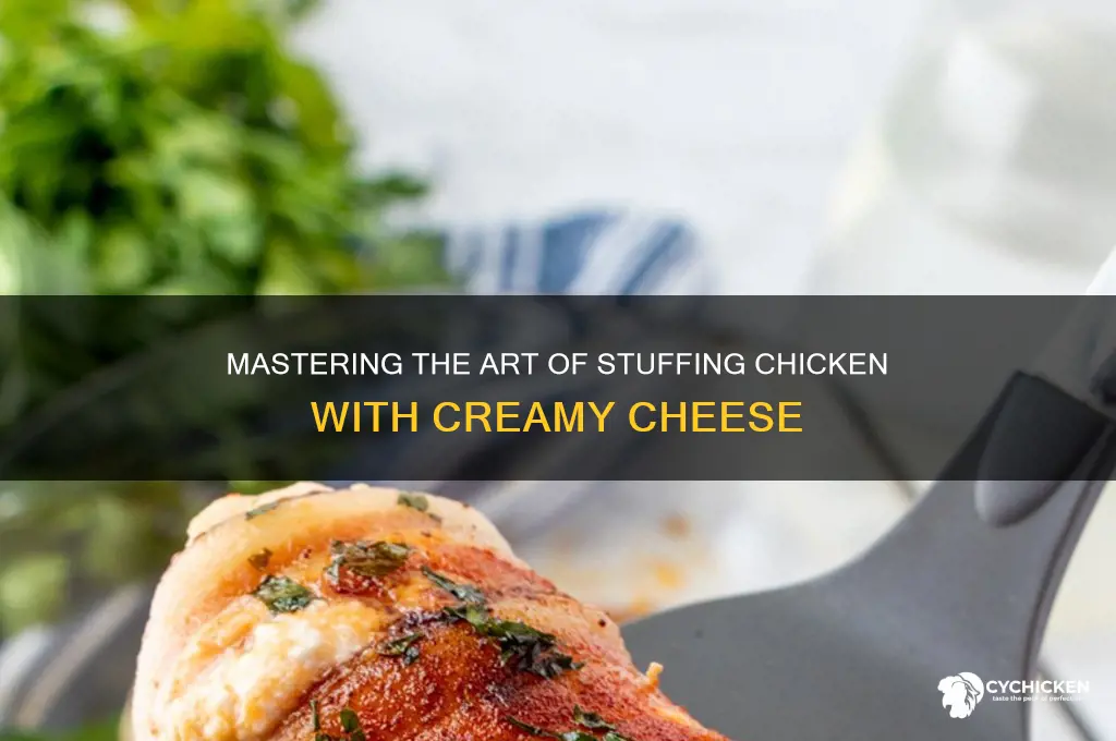 how do you stuff chicken with cheese