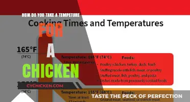 Checking Your Chicken's Temperature: A Quick Guide