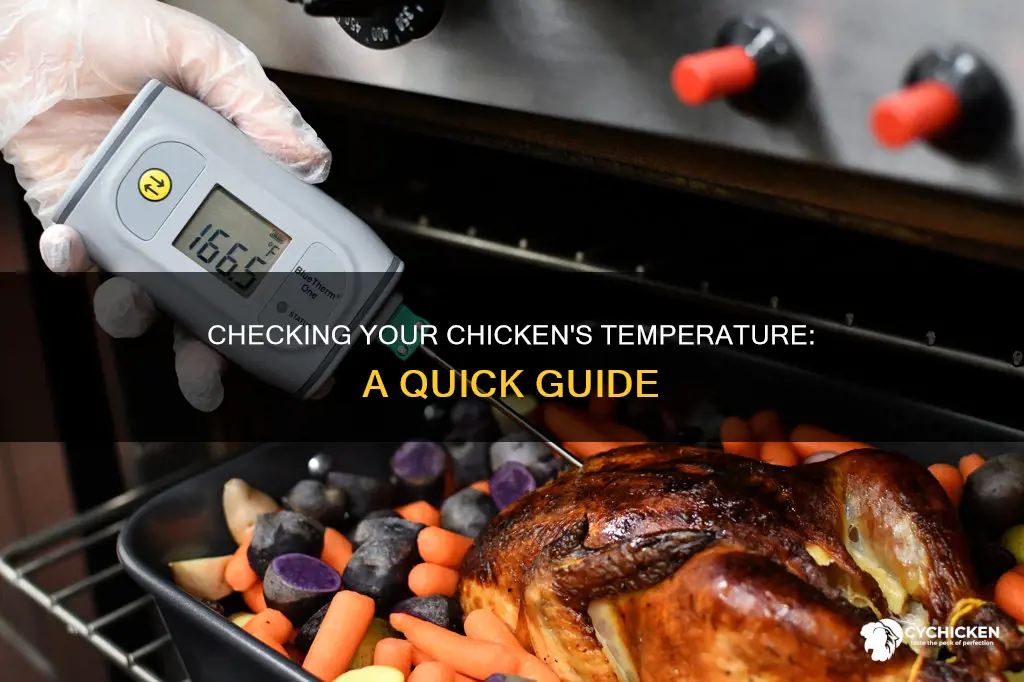 how do you take a tempeture for a chicken