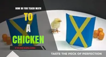 Teaching Math to Chickens: Creative Strategies for Feathered Learners
