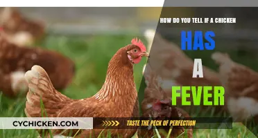 Spotting a Fever in Your Flock
