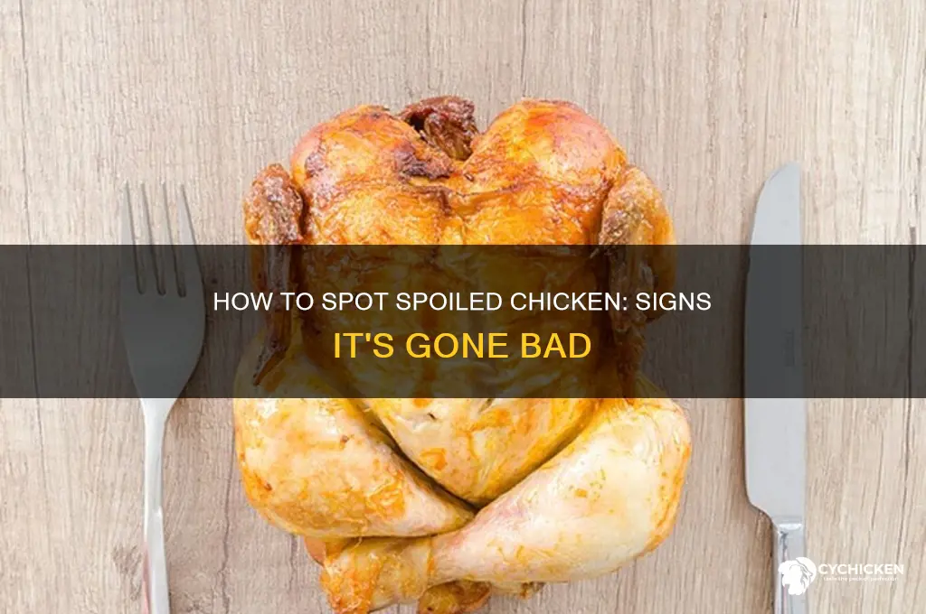 how do you tell if chicken is off