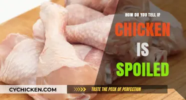 How to Spot Spoiled Chicken: Signs and Safety Tips