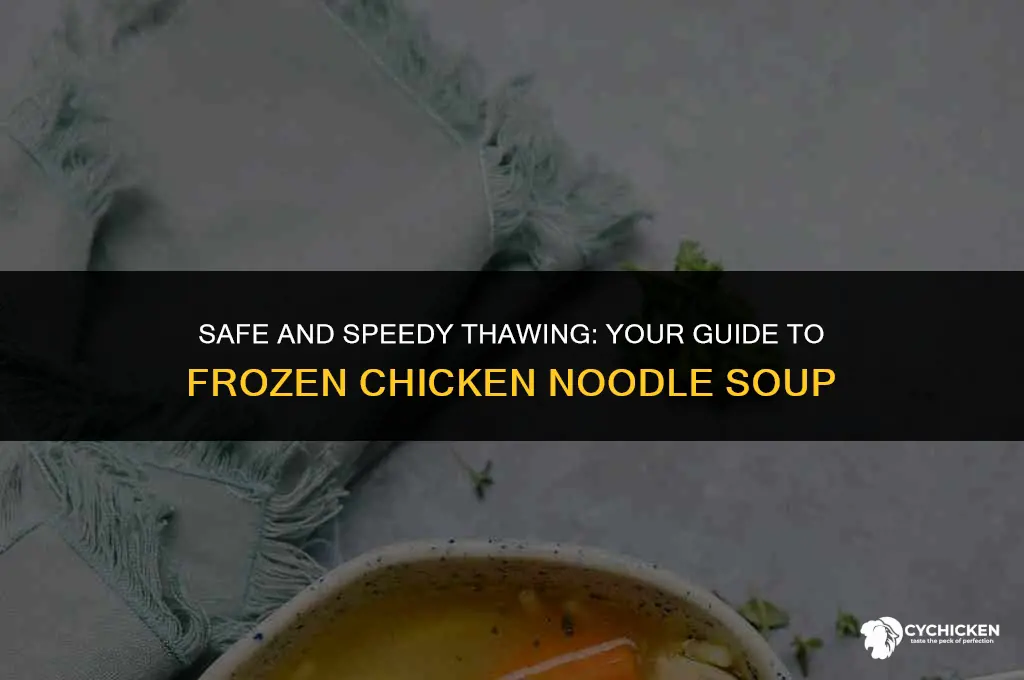 how do you thaw frozen chicken noodle