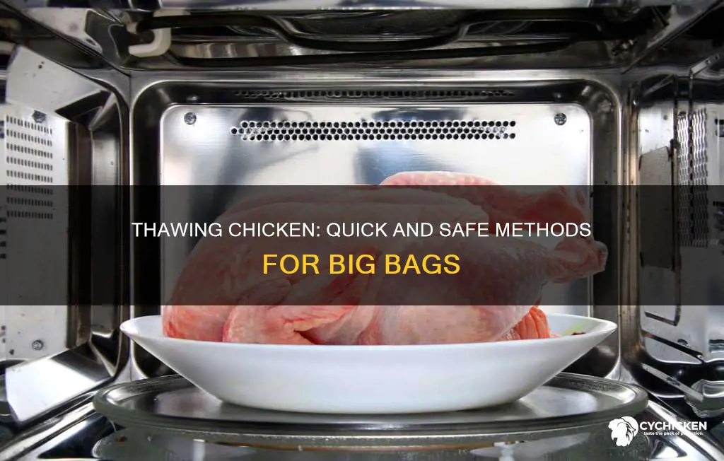 how do you thaw out a huge bag of chicken