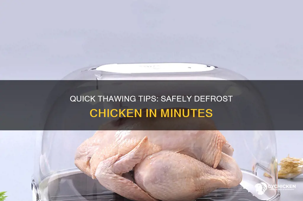 how do you thaw out chicken fast