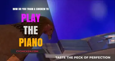Teaching Chickens to Play Piano: A Step-by-Step Guide
