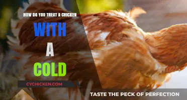 Treating Chickens With Colds: Natural Home Remedies