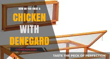 Treating Chicken Denegard: Effective Remedies and Care Tips for Recovery