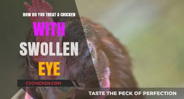 Treating a Swollen Eye in Your Chicken at Home