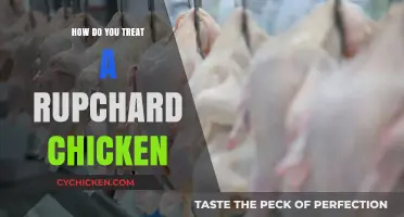 Effective Treatment Methods for Rupchard Chicken: A Comprehensive Guide