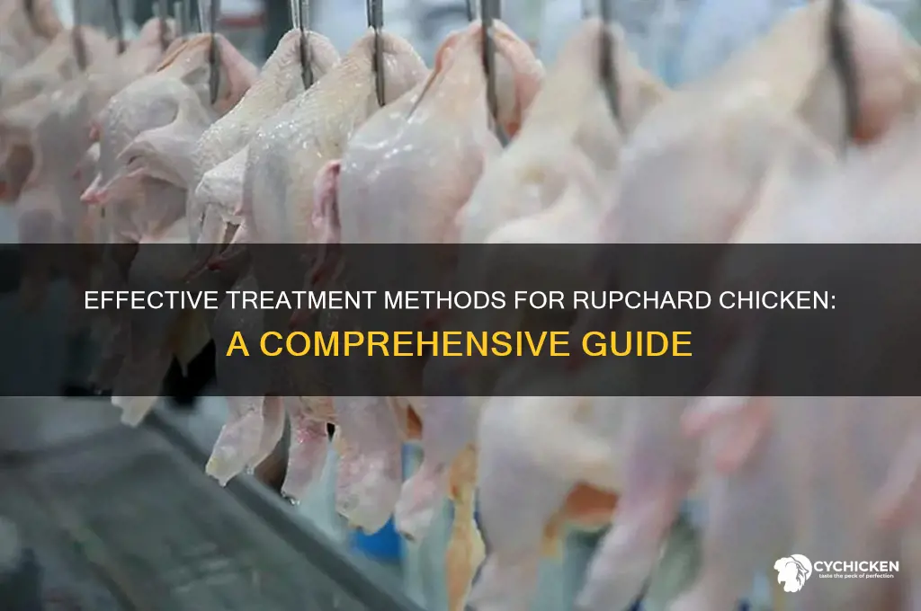 how do you treat a rupchard chicken