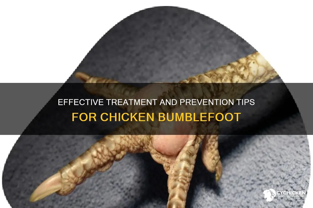 how do you treat bumblefoot on a chicken