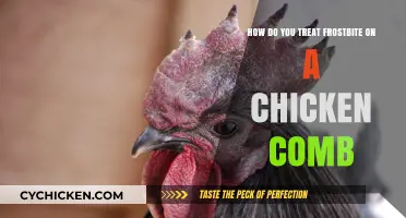 Preventing Frostbite on Chicken Combs