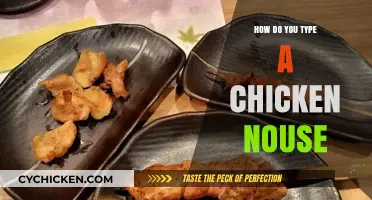Mastering the Art of Typing a Chicken Nose: A Step-by-Step Guide