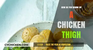 Quick Tips to Perfectly Warm Up Chicken Thighs Every Time