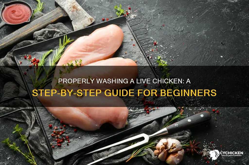 how do you wash a live chicken
