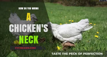 Quick and Humane Guide to Wringing a Chicken's Neck