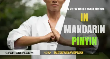 Mastering Mandarin: Writing 'Chicken Machine' in Pinyin