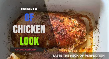 Visual Guide: What 4 Ounces of Chicken Looks Like on Your Plate
