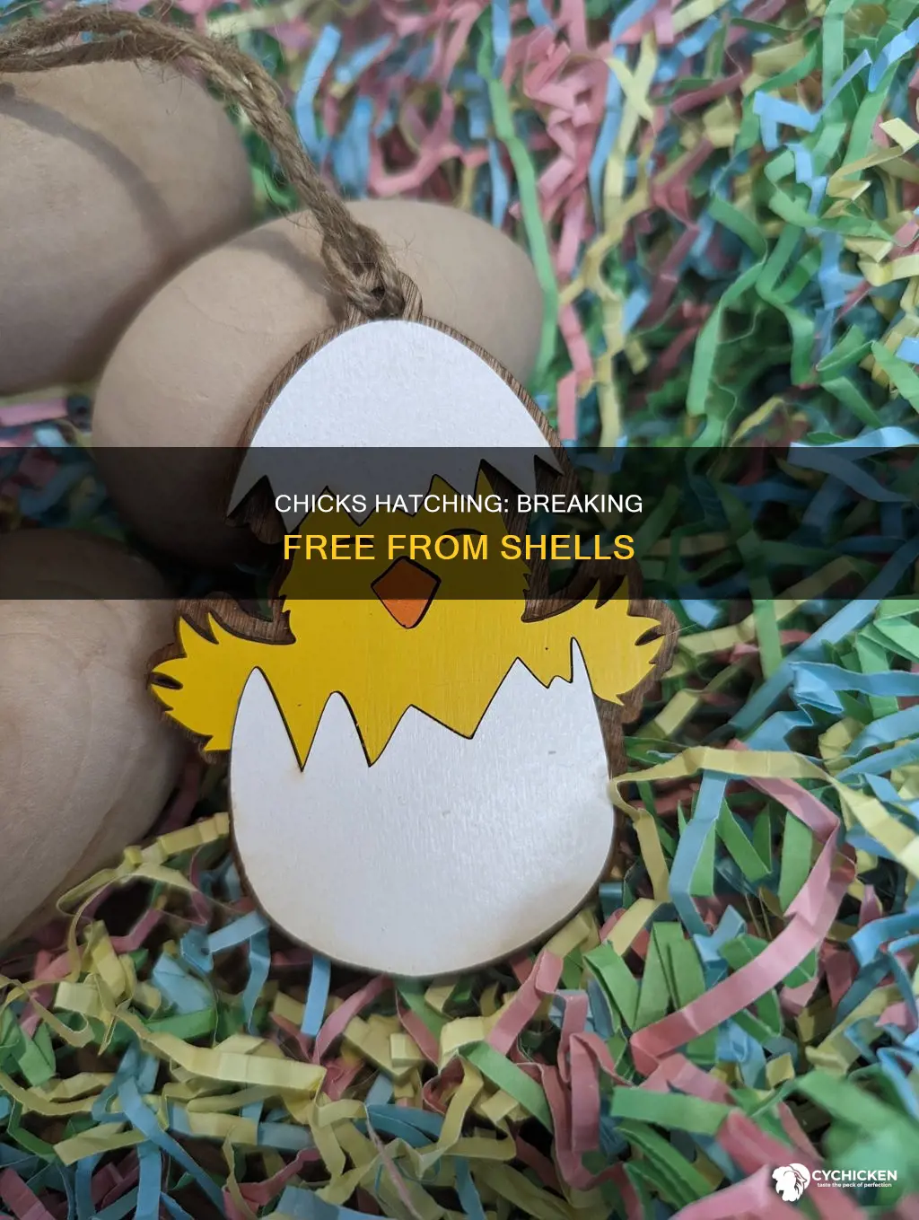 how does a chick break out of its shell