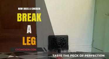 Understanding How Chickens Break Legs: Causes, Prevention, and Care Tips