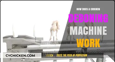 Understanding the Mechanics of a Chicken Deboning Machine: A Guide