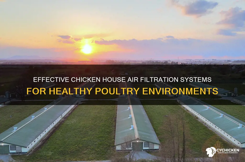 how does a chicken house air filteration