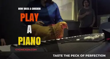 Can Chickens Play Piano? Unveiling the Surprising Truth Behind This Quirky Question