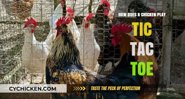 Can Chickens Play Tic Tac Toe? Unraveling the Poultry Puzzle