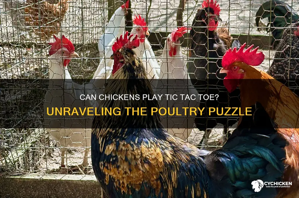 how does a chicken play tic tac toe
