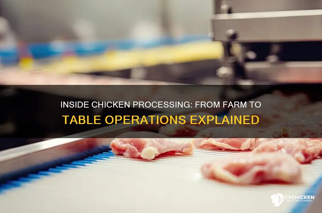 how does a chicken processing plant work