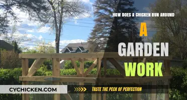 Exploring the Function of Chicken Runs in Gardens