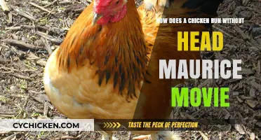 Chicken Run: The Science Behind Headless Birds
