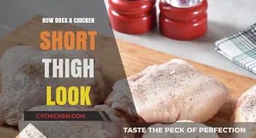What Does a Chicken Short Thigh Look Like? A Visual Guide