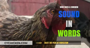 Decoding the Clucks: How to Describe a Chicken's Sound in Words