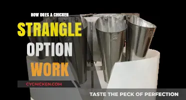Understanding the Chicken Strangle Option Strategy: A Comprehensive Guide