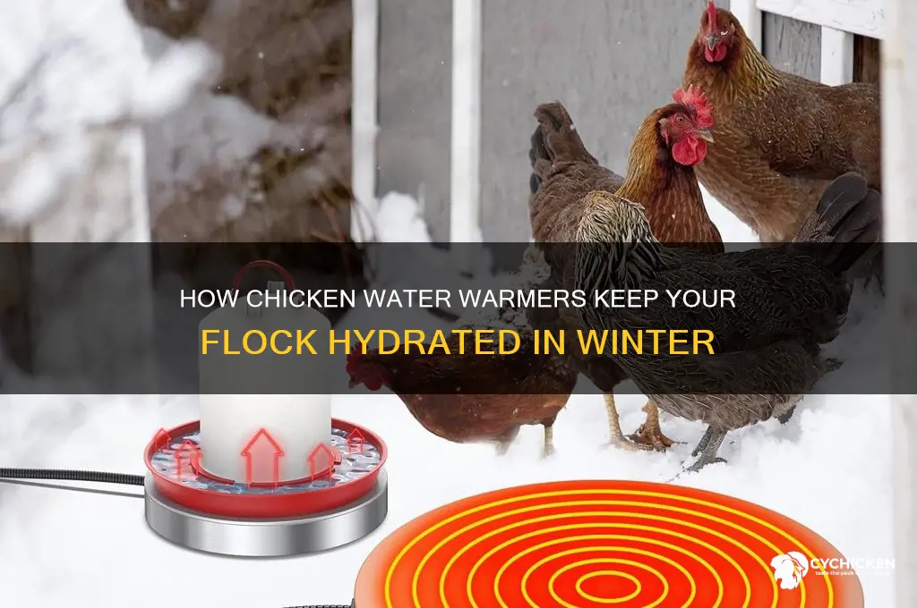 how does a chicken water warmer work