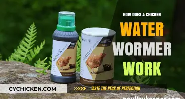 Understanding Chicken Water Wormers: How They Work and Why They're Effective