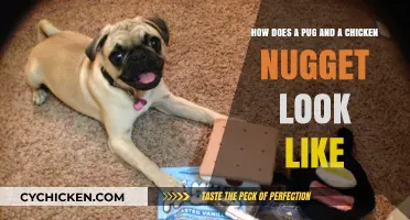 Pugs vs. Chicken Nuggets: A Whimsical Visual Comparison Guide