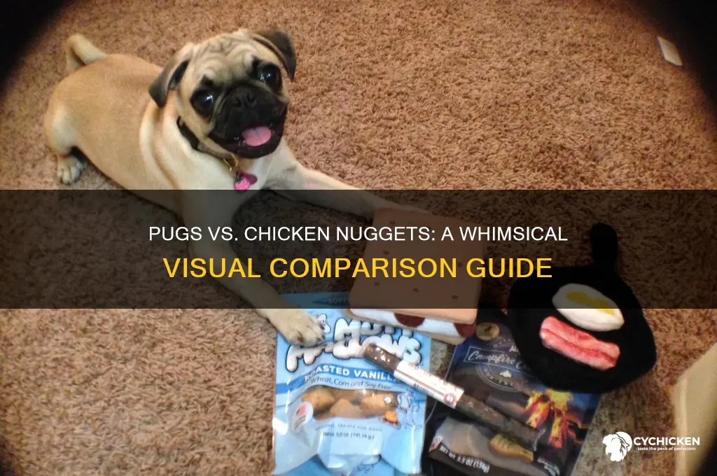 how does a pug and a chicken nugget look like