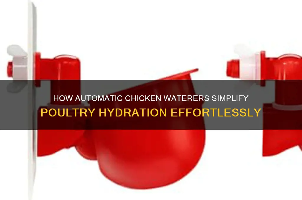 how does an automatic chicken waterer work