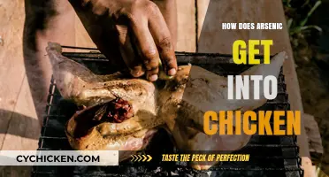 Unveiling the Hidden Danger: Arsenic in Chicken Explained