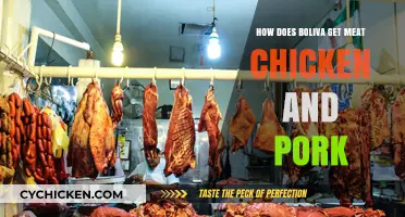 Sourcing Strategies: How Bolivia Procures Meat - Chicken and Pork