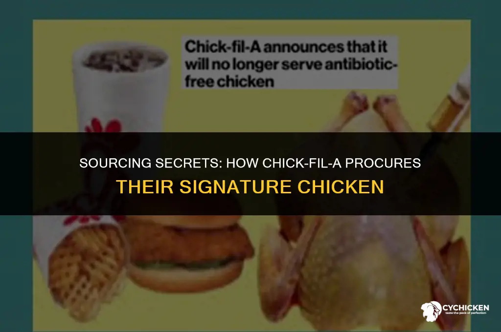 how does chick fil a get their chicken