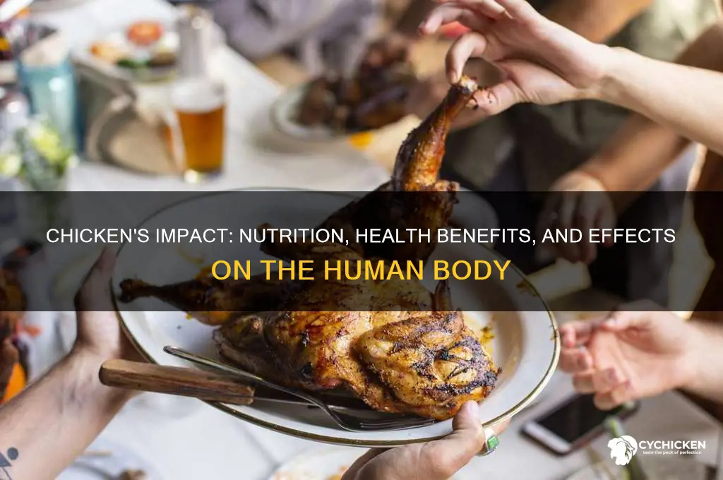 how does chicken affect the human body